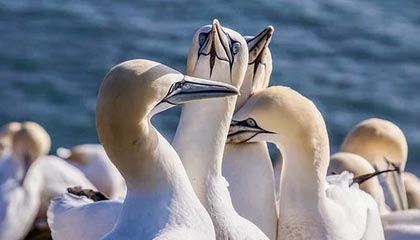 湖人115-107逆转掘金 东契奇38+13+10詹姆斯准三双